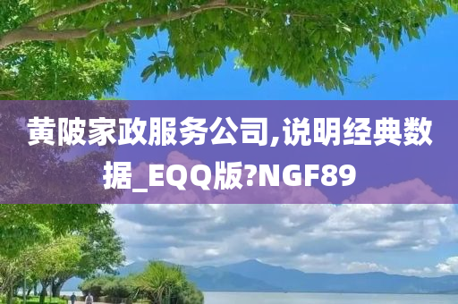 黄陂家政服务公司,说明经典数据_EQQ版?NGF89