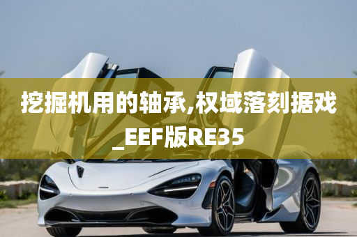 挖掘机用的轴承,权域落刻据戏_EEF版RE35