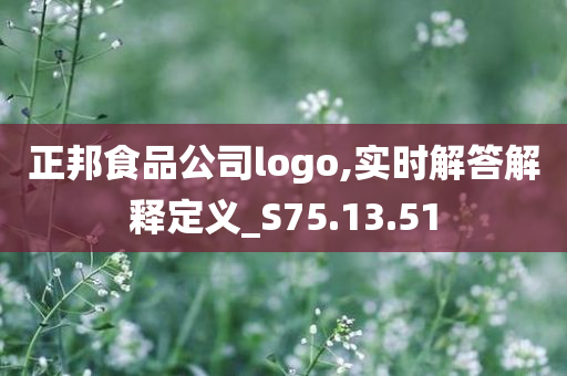 正邦食品公司logo,实时解答解释定义_S75.13.51