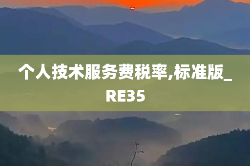 个人技术服务费税率,标准版_RE35