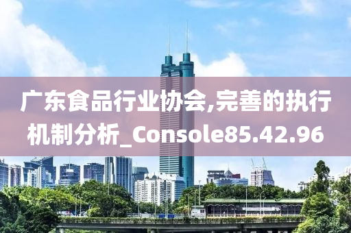 广东食品行业协会,完善的执行机制分析_Console85.42.96