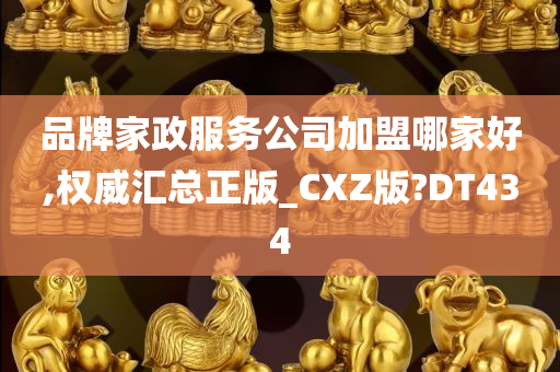 品牌家政服务公司加盟哪家好,权威汇总正版_CXZ版?DT434