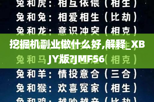 挖掘机副业做什么好,解释_XBJY版?JMF56