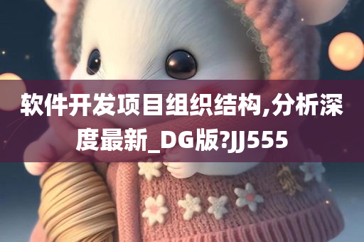 软件开发项目组织结构,分析深度最新_DG版?JJ555