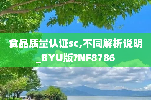 食品质量认证sc,不同解析说明_BYU版?NF8786