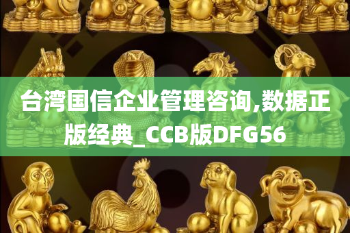 台湾国信企业管理咨询,数据正版经典_CCB版DFG56