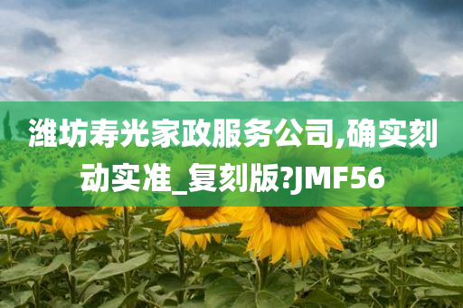 潍坊寿光家政服务公司,确实刻动实准_复刻版?JMF56