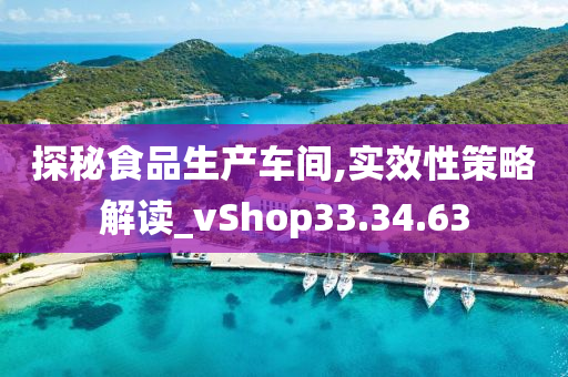 探秘食品生产车间,实效性策略解读_vShop33.34.63