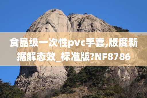 食品级一次性pvc手套,版度新据解态效_标准版?NF8786