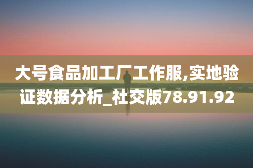 大号食品加工厂工作服,实地验证数据分析_社交版78.91.92