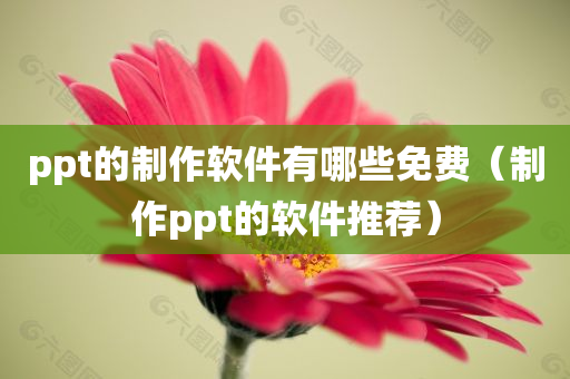 ppt的制作软件有哪些免费（制作ppt的软件推荐）