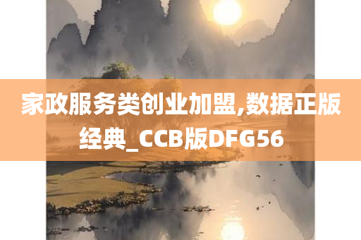 家政服务类创业加盟,数据正版经典_CCB版DFG56