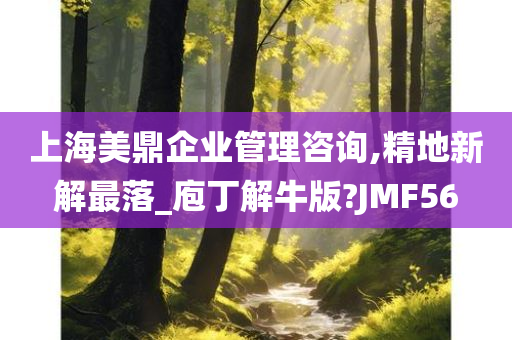 上海美鼎企业管理咨询,精地新解最落_庖丁解牛版?JMF56