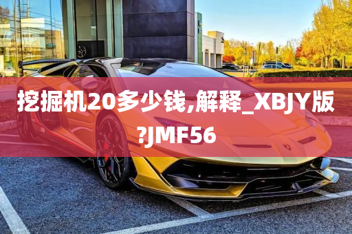 挖掘机20多少钱,解释_XBJY版?JMF56