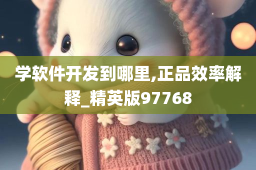 学软件开发到哪里,正品效率解释_精英版97768