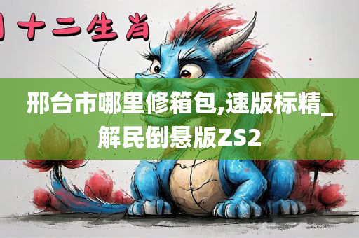 邢台市哪里修箱包,速版标精_解民倒悬版ZS2