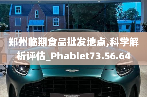 郑州临期食品批发地点,科学解析评估_Phablet73.56.64