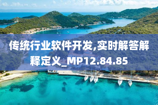 传统行业软件开发,实时解答解释定义_MP12.84.85