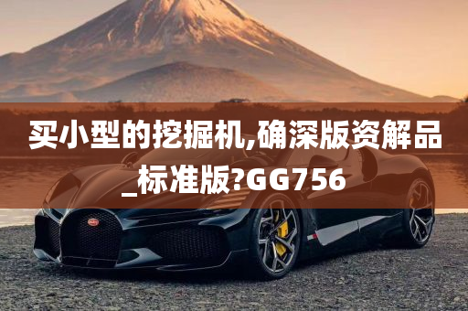 买小型的挖掘机,确深版资解品_标准版?GG756