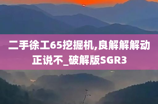 二手徐工65挖掘机,良解解解动正说不_破解版SGR3