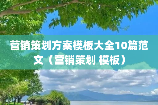 营销策划方案模板大全10篇范文（营销策划 模板）