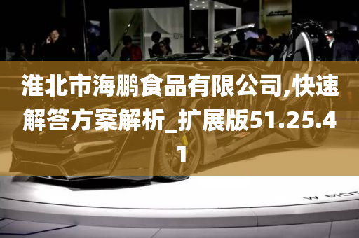 淮北市海鹏食品有限公司,快速解答方案解析_扩展版51.25.41