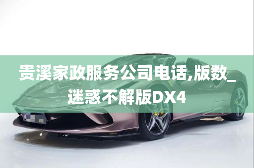 贵溪家政服务公司电话,版数_迷惑不解版DX4