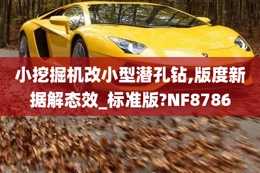 小挖掘机改小型潜孔钻,版度新据解态效_标准版?NF8786