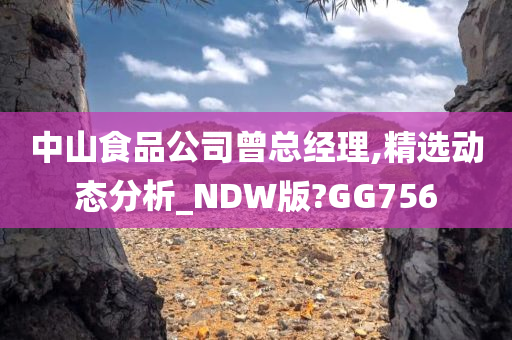 中山食品公司曾总经理,精选动态分析_NDW版?GG756