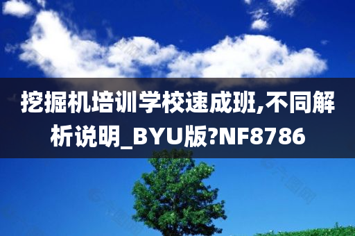 挖掘机培训学校速成班,不同解析说明_BYU版?NF8786