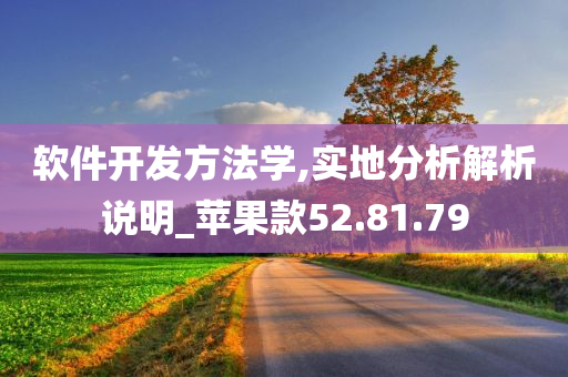 软件开发方法学,实地分析解析说明_苹果款52.81.79