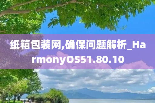 纸箱包装网,确保问题解析_HarmonyOS51.80.10