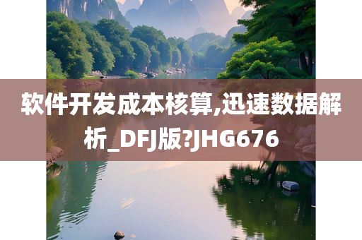 软件开发成本核算,迅速数据解析_DFJ版?JHG676