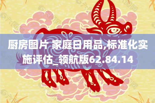 厨房图片 家庭日用品,标准化实施评估_领航版62.84.14