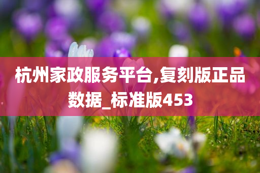 杭州家政服务平台,复刻版正品数据_标准版453