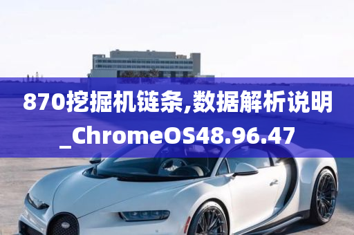 870挖掘机链条,数据解析说明_ChromeOS48.96.47