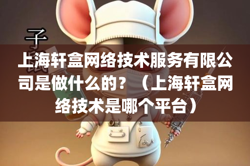 上海轩盒网络技术服务有限公司是做什么的？（上海轩盒网络技术是哪个平台）