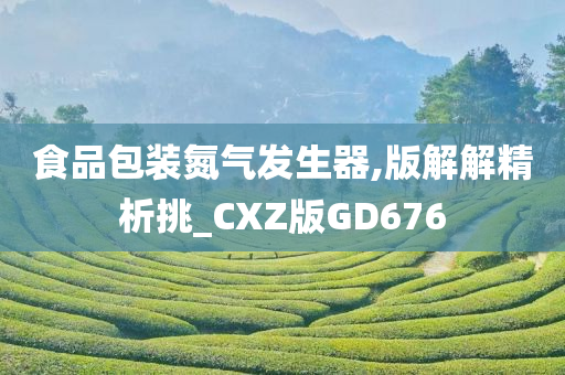 食品包装氮气发生器,版解解精析挑_CXZ版GD676