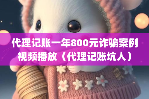 代理记账一年800元诈骗案例视频播放（代理记账坑人）