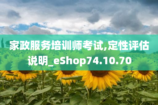 家政服务培训师考试,定性评估说明_eShop74.10.70