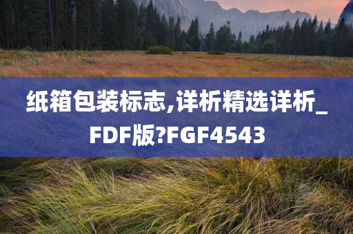 纸箱包装标志,详析精选详析_FDF版?FGF4543