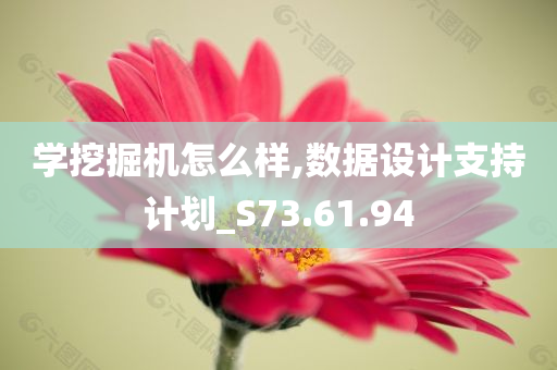 学挖掘机怎么样,数据设计支持计划_S73.61.94