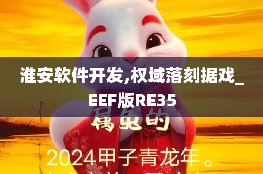 淮安软件开发,权域落刻据戏_EEF版RE35