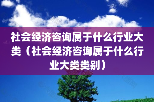 社会经济咨询属于什么行业大类（社会经济咨询属于什么行业大类类别）