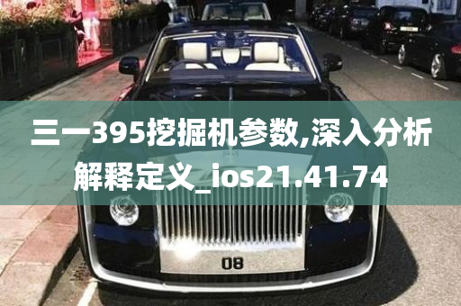 三一395挖掘机参数,深入分析解释定义_ios21.41.74