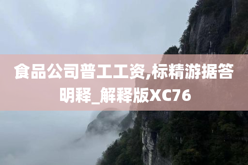 食品公司普工工资,标精游据答明释_解释版XC76