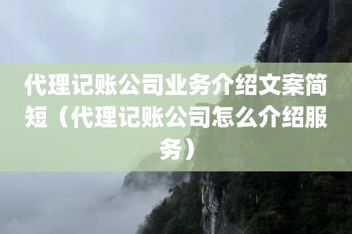 代理记账公司业务介绍文案简短（代理记账公司怎么介绍服务）