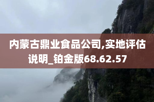 内蒙古鼎业食品公司,实地评估说明_铂金版68.62.57