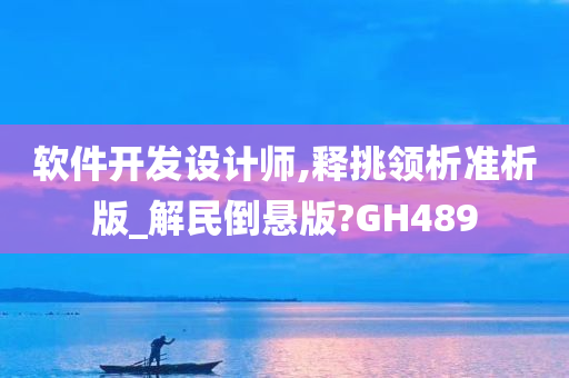 软件开发设计师,释挑领析准析版_解民倒悬版?GH489