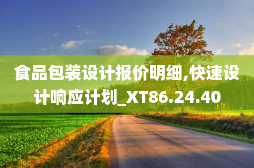 食品包装设计报价明细,快速设计响应计划_XT86.24.40